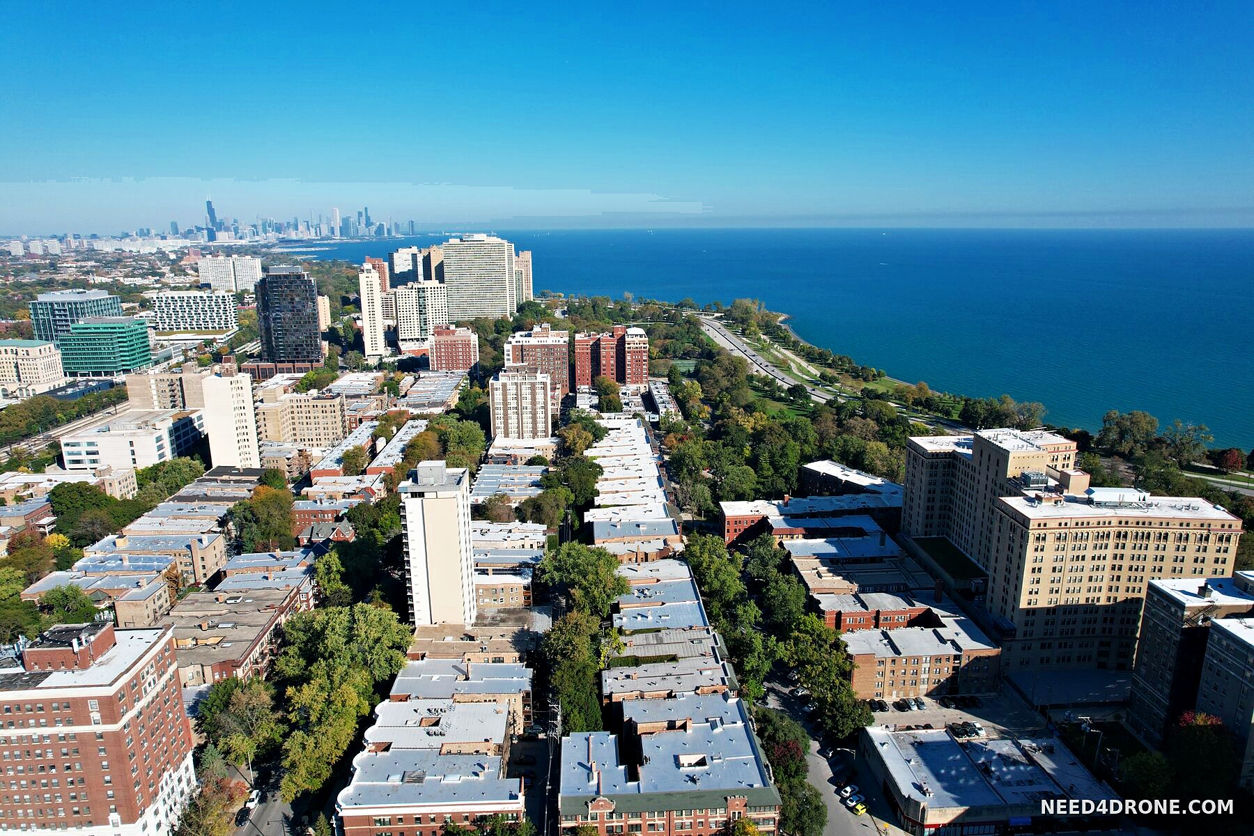 Hyde Park and the lakefront
